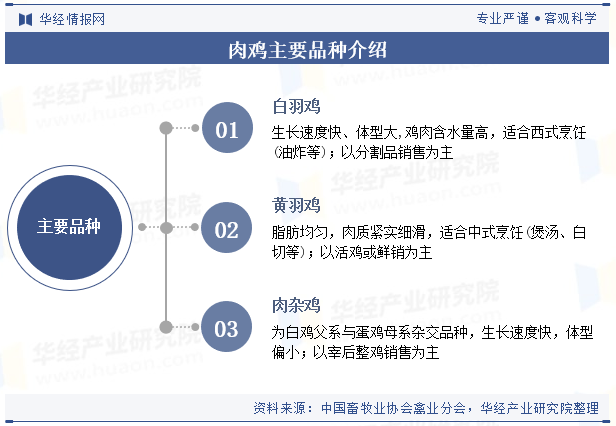 中国肉鸡品种分类