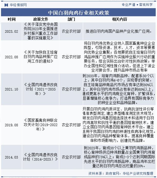 国内自主培育的白羽肉鸡品种配套系