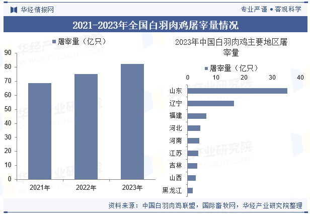 2023年白羽肉鸡分省屠宰量