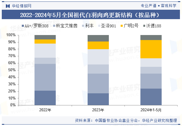 中国祖代白羽肉鸡种鸡更新量与国产品种占比