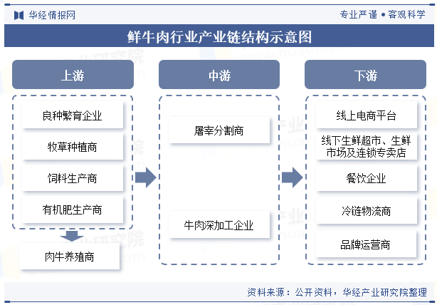 牛肉行业产业链结构